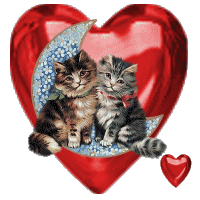 coeur animation